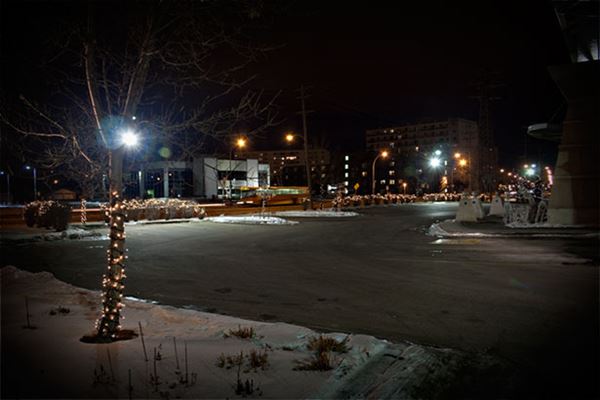 Winnipeg Homes at Christmas