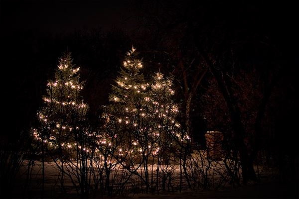 Winnipeg Homes at Christmas