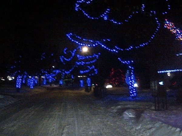 Winnipeg Homes at Christmas
