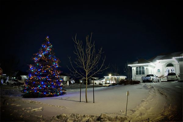 Winnipeg Homes at Christmas