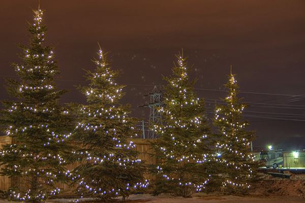 Winnipeg Homes at Christmas