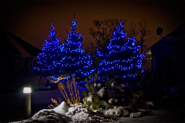 Winnipeg Homes at Christmas